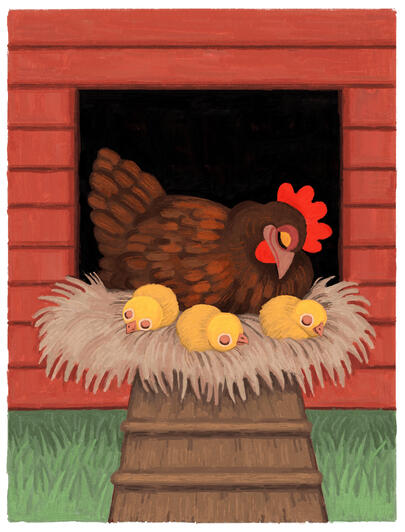 Little Red Hen Sleeping