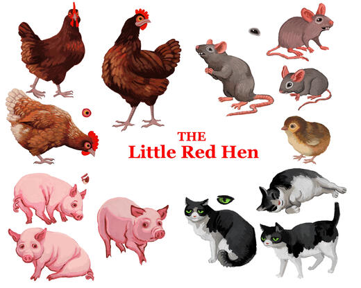 Little Red Hen Sketches
